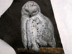 Snow Owl