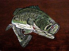 Trophy Black Bass