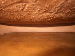 IMG 1675 Es