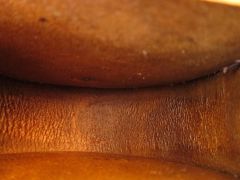 IMG_3923-es.jpg