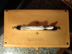 IMG 4047 Es