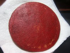 IMG 3584 Es