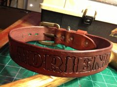 Custom dog collar