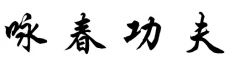Wing Chun Kung Fu
