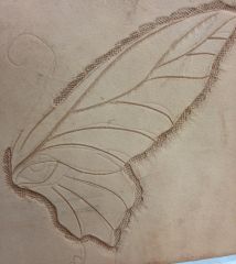 Butterfly Eye