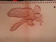 20121213_191810.jpg