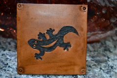 salamander coaster