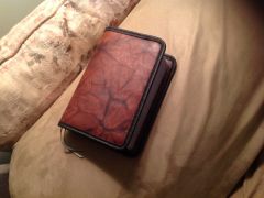 New world translation Bible cover