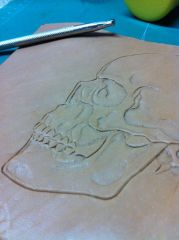 Skull close up