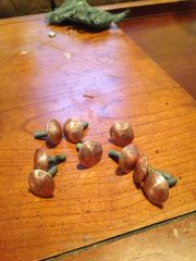 photo (5)