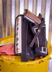 Harley holster