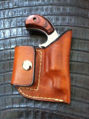 NAA Holster 2