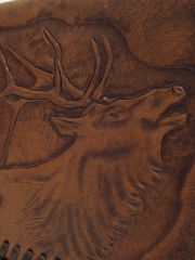 Close up of the elk face