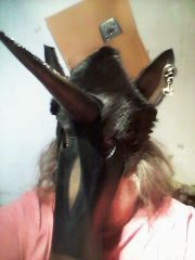 CAM00196