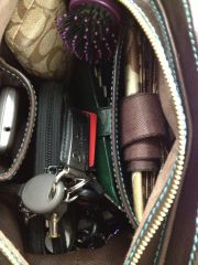 Handbag close up (inside pockets)