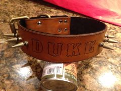 First dog collar
