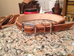 Dog collar 6