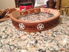 Dog collar 5