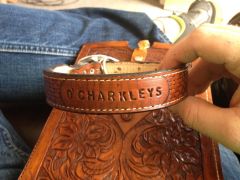 Dog collar9