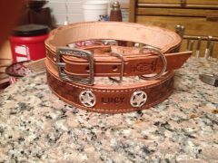 Dog collar 7