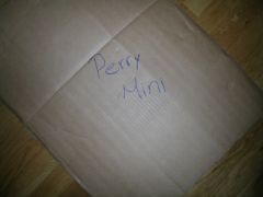 Perry Mini Bag