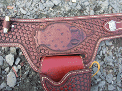 Snake Themed Gunslinger Rig