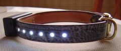 illuminated collar