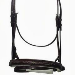 SEDGWICK BRIDLE
