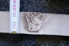 RHINO