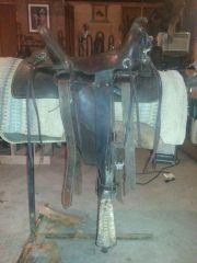 saddle 2 offside