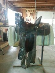 saddle 1 near side