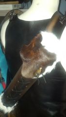 leather quiver with Fur