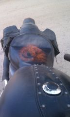 Horseseat008