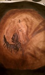Horseseat003