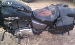 Horseseat007
