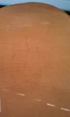 Horseseat001