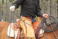 saddle Pad
