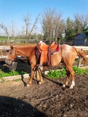 01 On horse