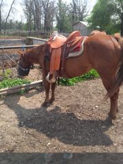 03 On horse