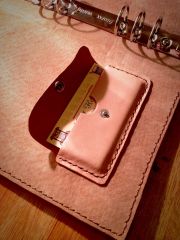 Card holder inside ring binder