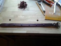 Dog Collar with synthetic crystal rivets