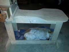Charlenetheshopdog112413
