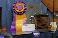 Fair Award