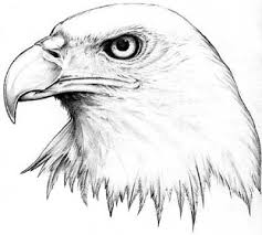 images (2)