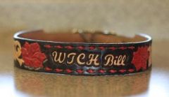 Dog Collar