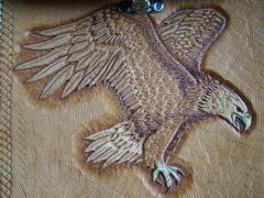 eagle