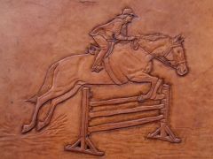 horse jumping