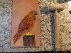 Falcon #2