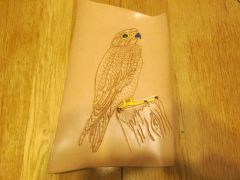 falcon