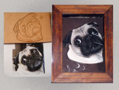 Dog portrait
